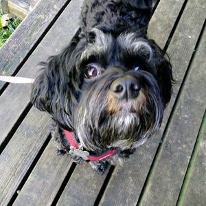 Meet your Posher, Melanie